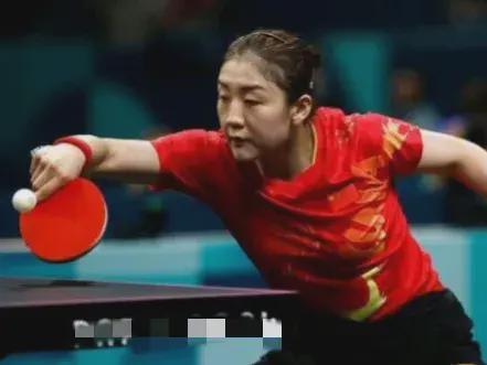 成功先例 成功先例