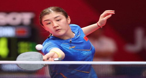 可以并存 可以并存