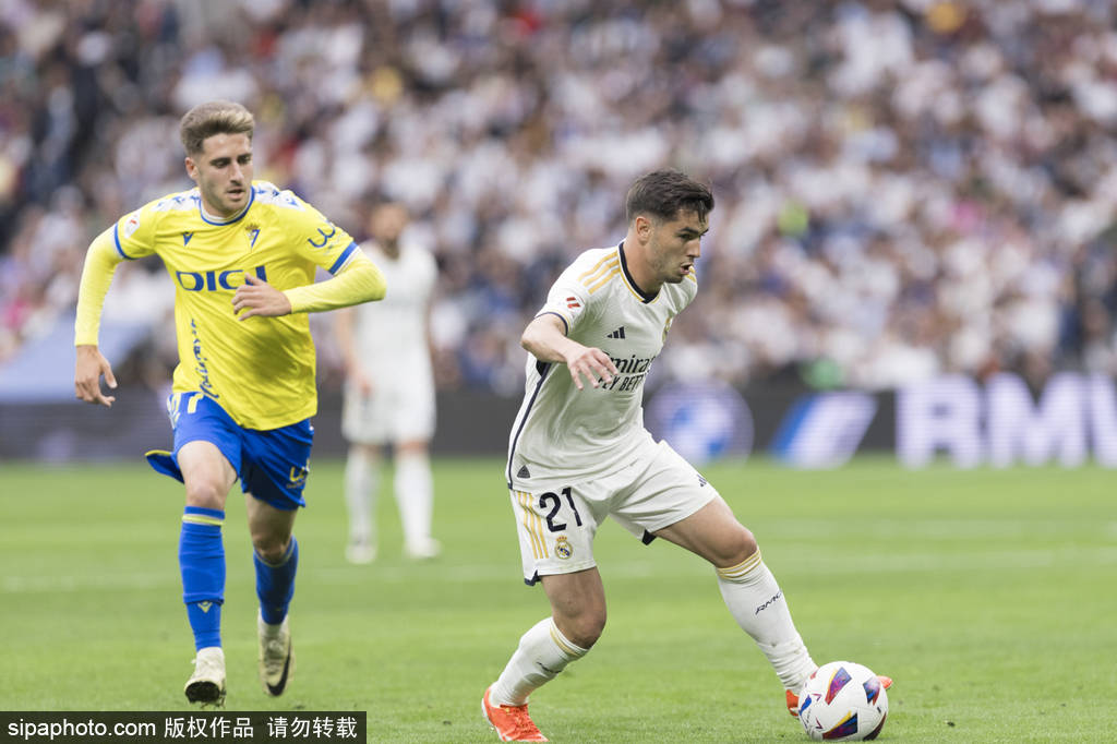 也为他们树 也为他们树